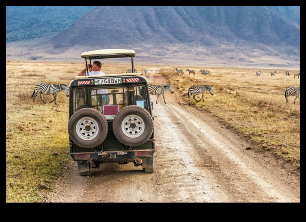 ספארי עירוני מבט מודרני על חקר המדבר 3 ספארי עירוני: חקר פראי באופנה אורבנית