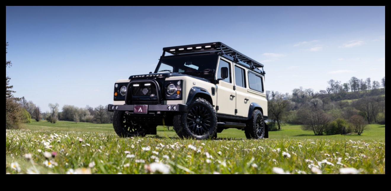 ספארי עירוני מבט מודרני על חקר המדבר 4 ספארי עירוני: חקר פראי באופנה אורבנית