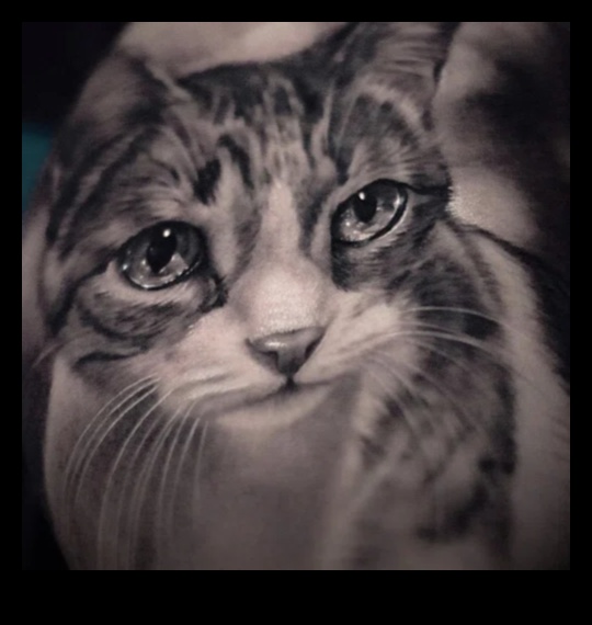 מאסטרים של ריאליזם מעלים את הסגנון שלך עם Masterful Ink 3 מאסטרים של ריאליזם: הרם את הסגנון שלך עם דיו מופתי