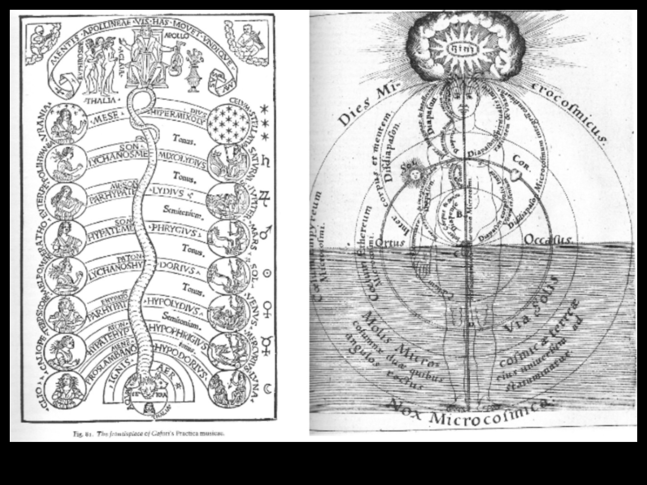 הרמוניה של נוף גן עדן: תווים מוזיקליים מהדהדים בשתיקה של החלל החיצון