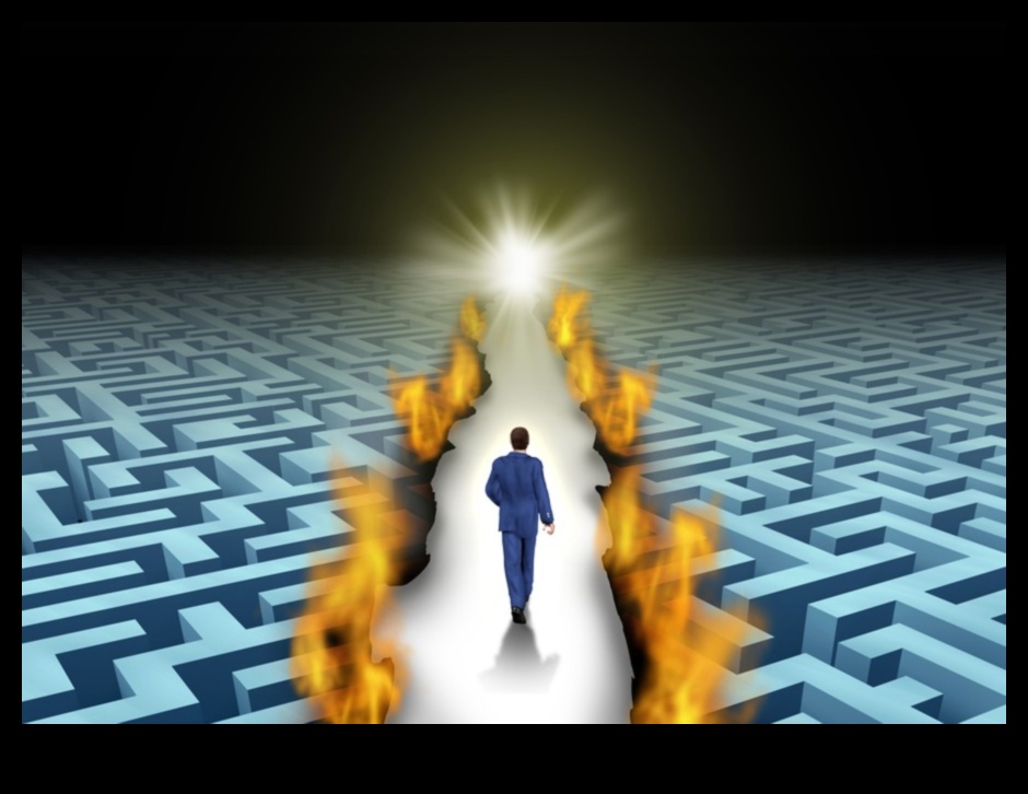 עסקים פורצי דרך: ניווט בנוף הפתרונות