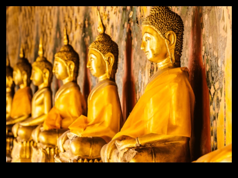 מורשת מודעת פותרת את המדיטציה מסע בעבר לגילוי השורשים של אחת מהשיטות העתיקות והעוצמתיות ביותר בעולם. 5 מורשת מודעת: פירוק המדיטציה