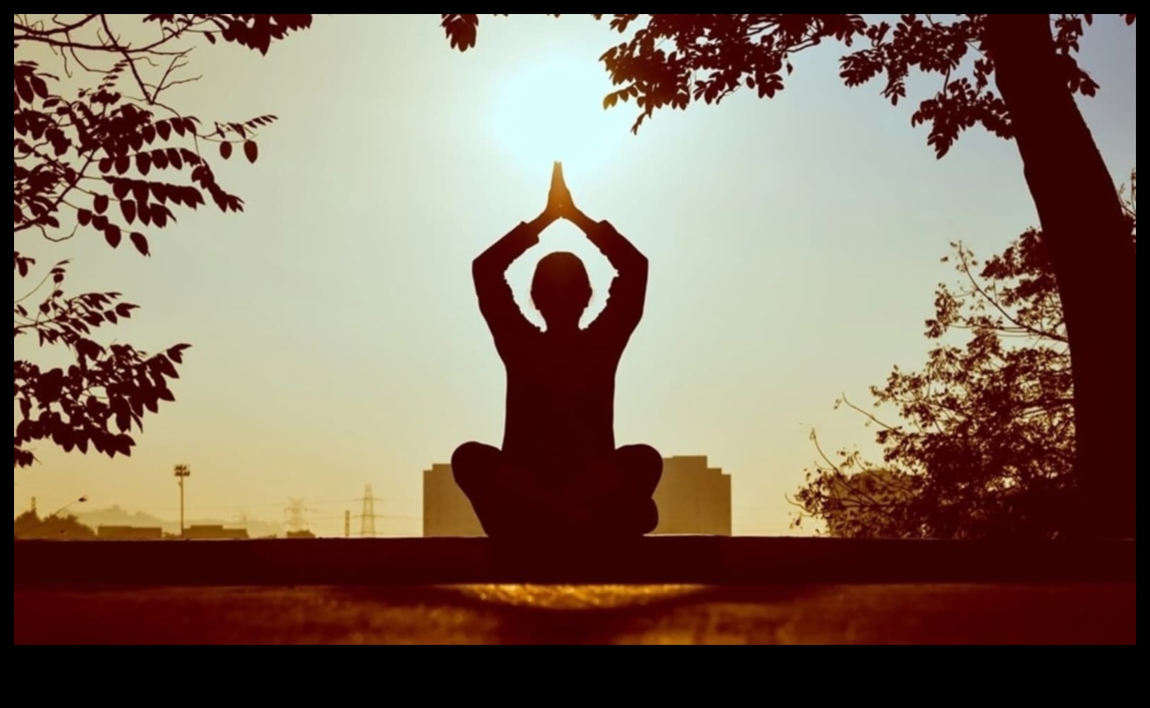 פלאי מיינדפולנס: חקר ההשפעות החיוביות של מדיטציה