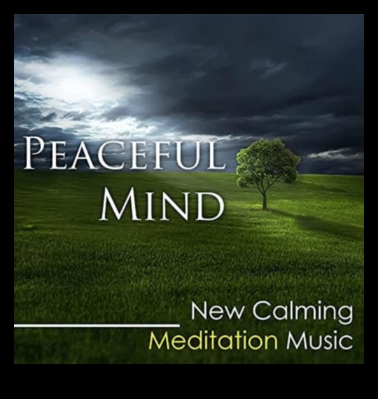 מנגינות מדיטציה צלילים מרגיעים לנפש שלווה 1 מנגינות מדיטציה: הרמוניזציה לחיים ללא מתחים