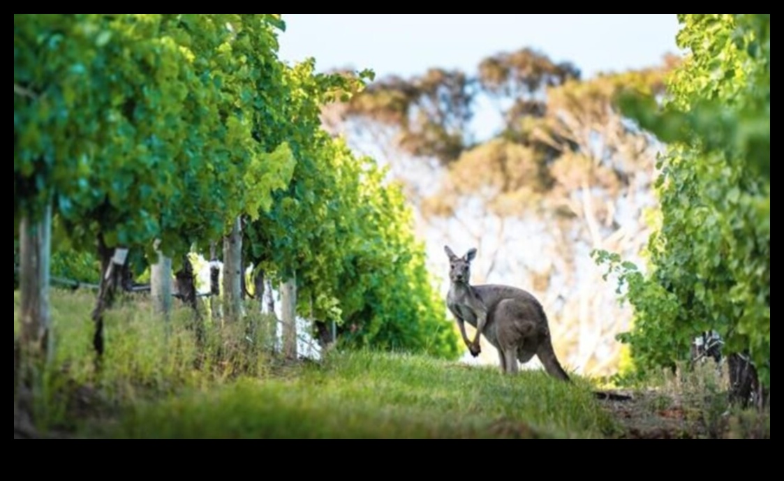 ספארי עירוני מבט מודרני על חקר השממה 1 ספארי עירוני: חקר פראי באופנה אורבנית