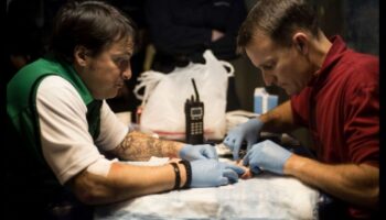 פלטת הדיוק: שליטה בטכניקות קעקוע מתקדמות