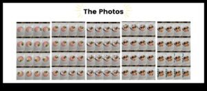 פריים אחר פריים: מצלמות עם יכולות הנפשה של Stop-Motion