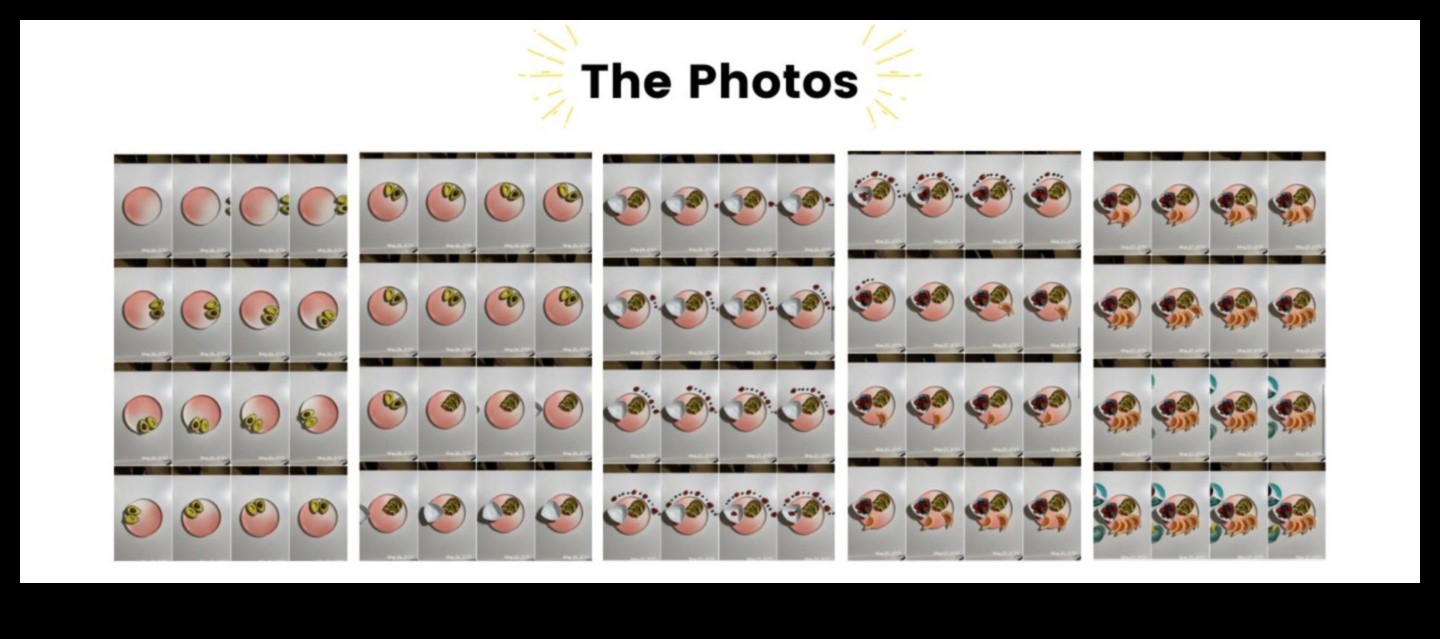 פריים אחר פריים מדריך למצלמות עם יכולות אנימציית סטופ-מושן 2 פריים אחר פריים: מצלמות עם יכולות הנפשה של Stop-Motion